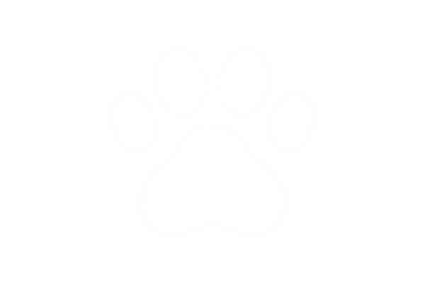 can you please make a bright white minimalist outline of a dog paw